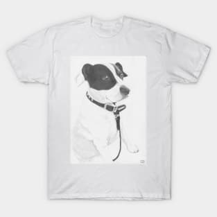 Jack Russell cross Springer cross Staffie T-Shirt